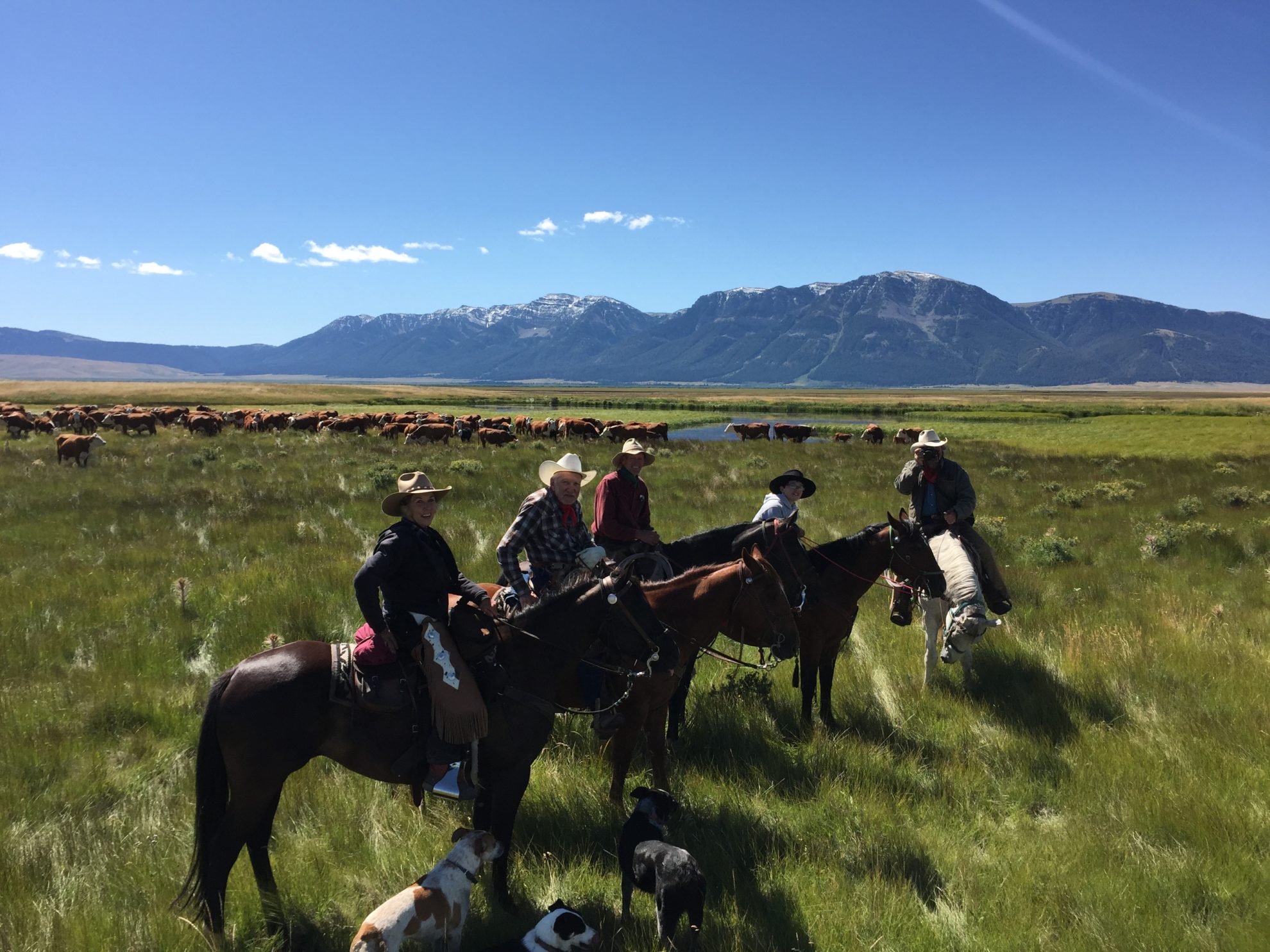 ranching-in-the-centennial-valley