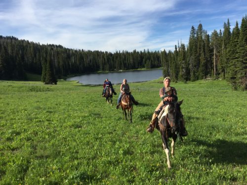 Horseback rides – centennialoutfitters