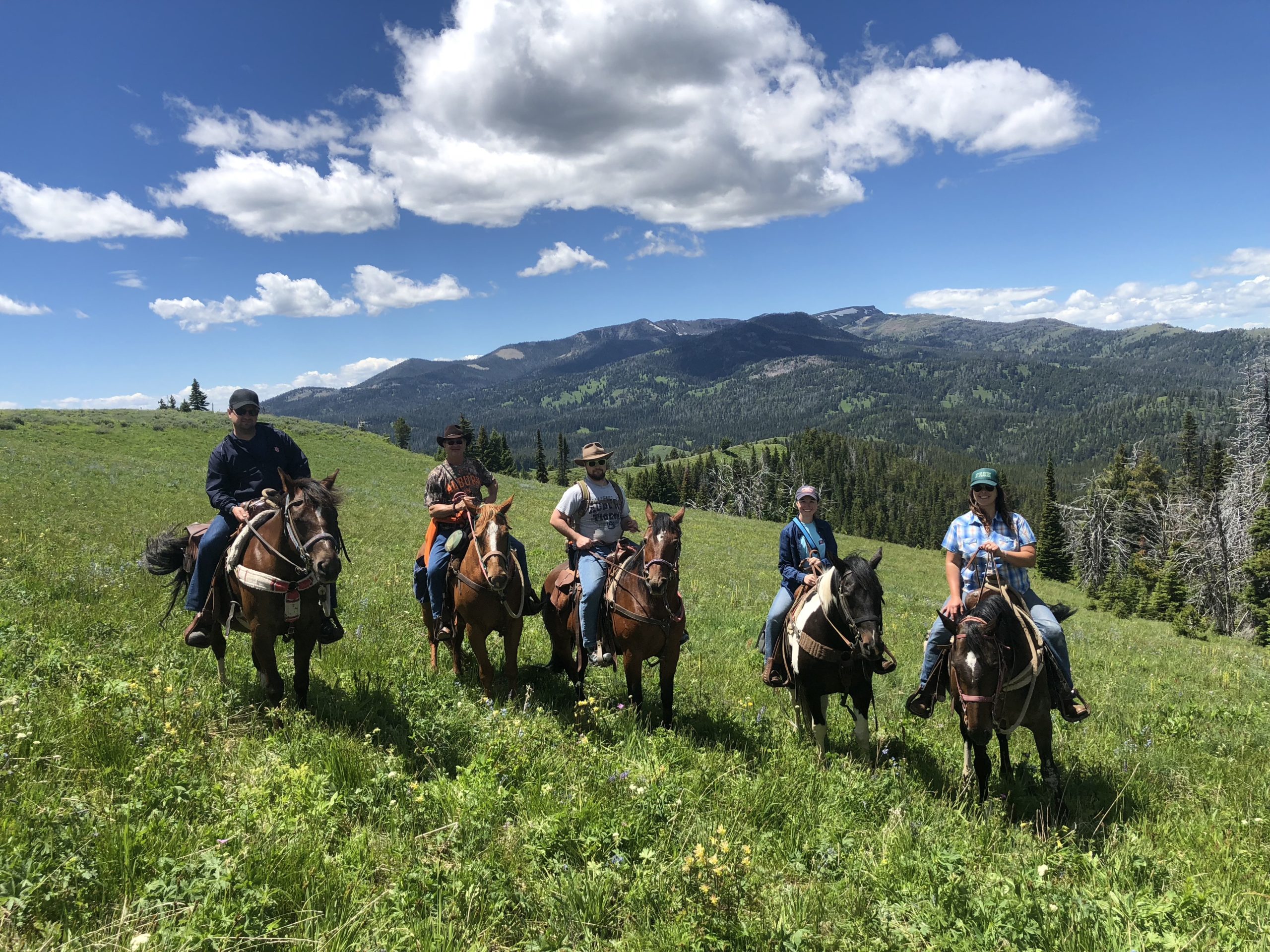 a8dIZeuWS6iPtaHyHZWzkQ