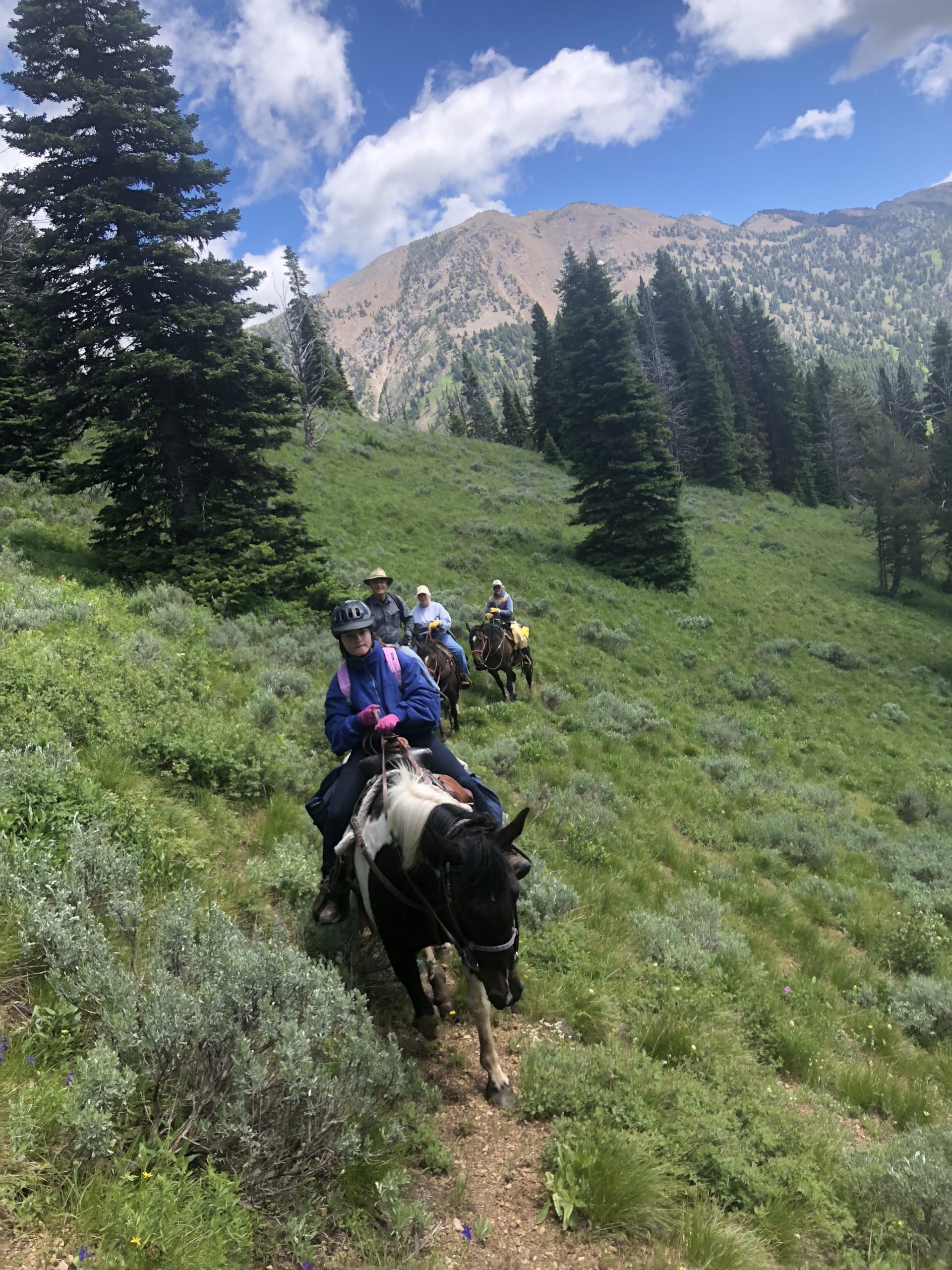 eH0iFjVnSdOhcscz4cBPTg